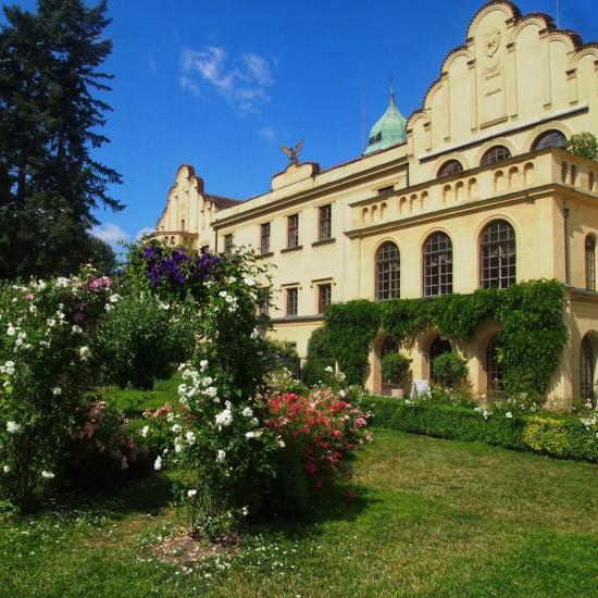 357227448_6240681102652980_2628990794937376236_n